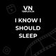 I know I should Sleep - Fest VN Template