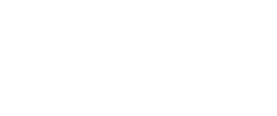 VN Template