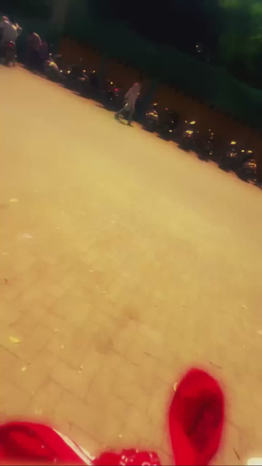 Holi Mashup