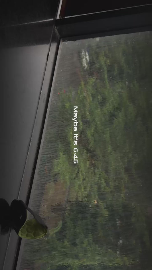 Girls Like You