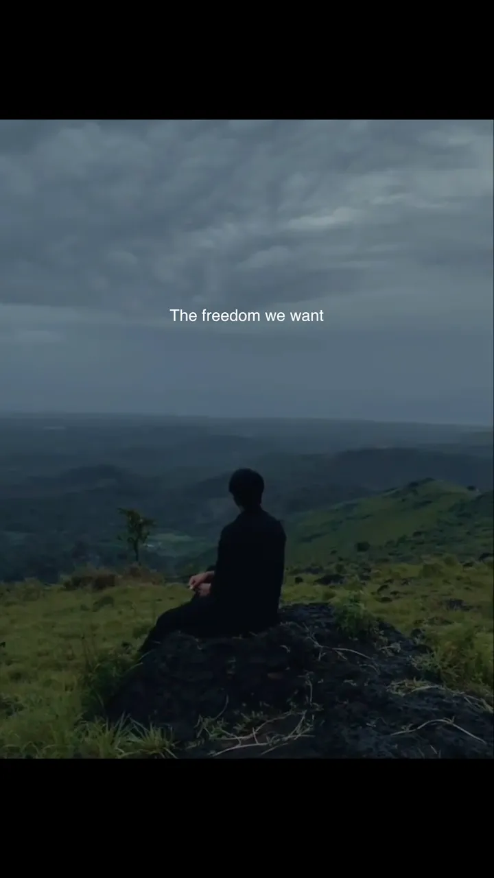 Freedom x Matargashti